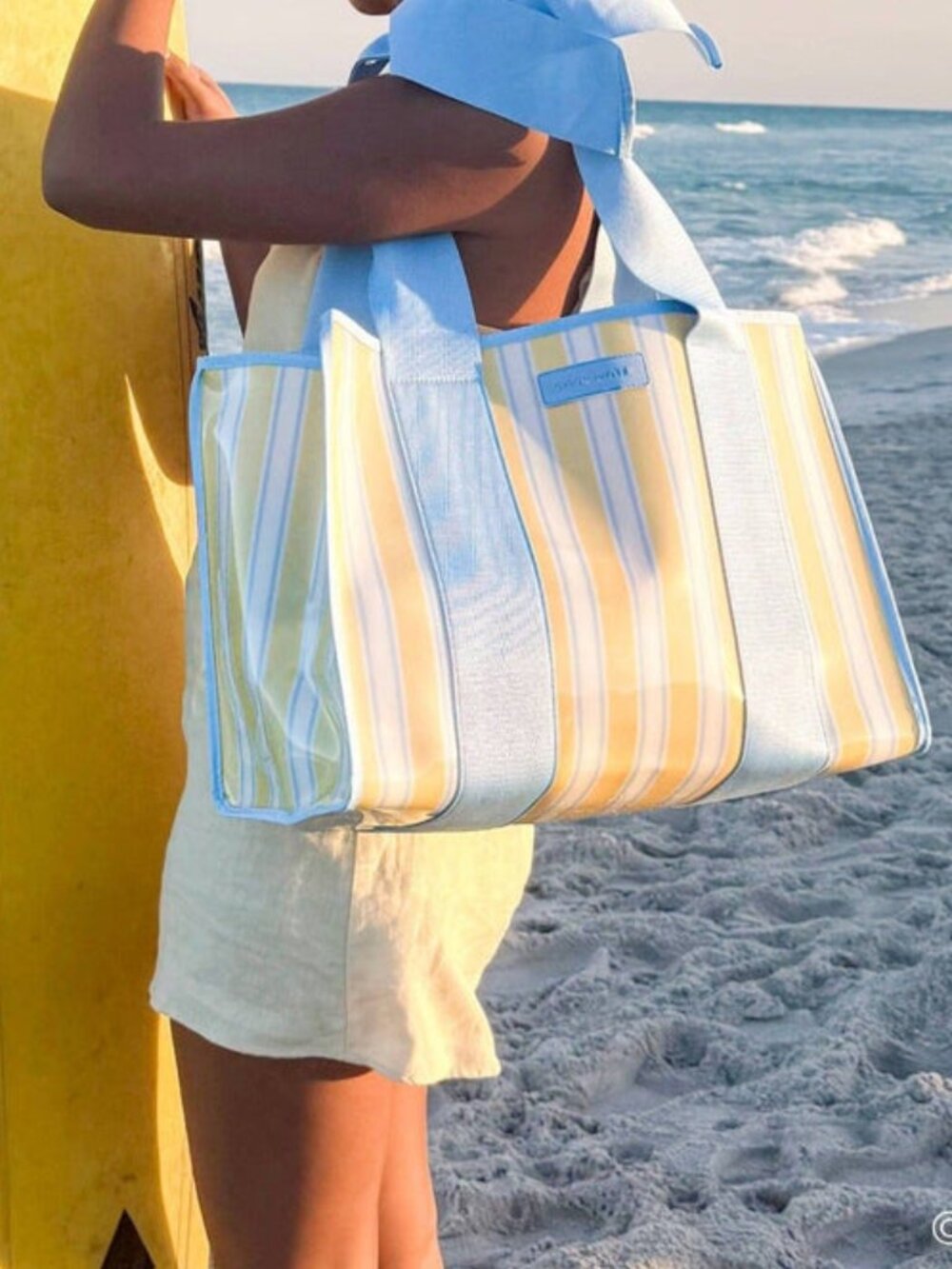 Case-Mate Cabana Striped Blue Bow Jelly Tote Waterproof Beach Bag Gym Travel NWT - Picture 4 of 8